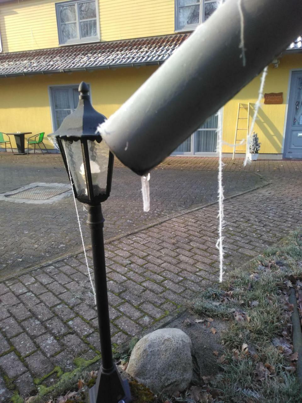 Hotel Gastehaus Allergrund Wienhausen Zewnętrze zdjęcie